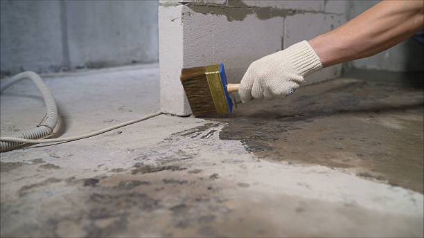 SJ Waterproofing Pros Basement Waterproofing coverage map for Rockwood, TN and surrounding area